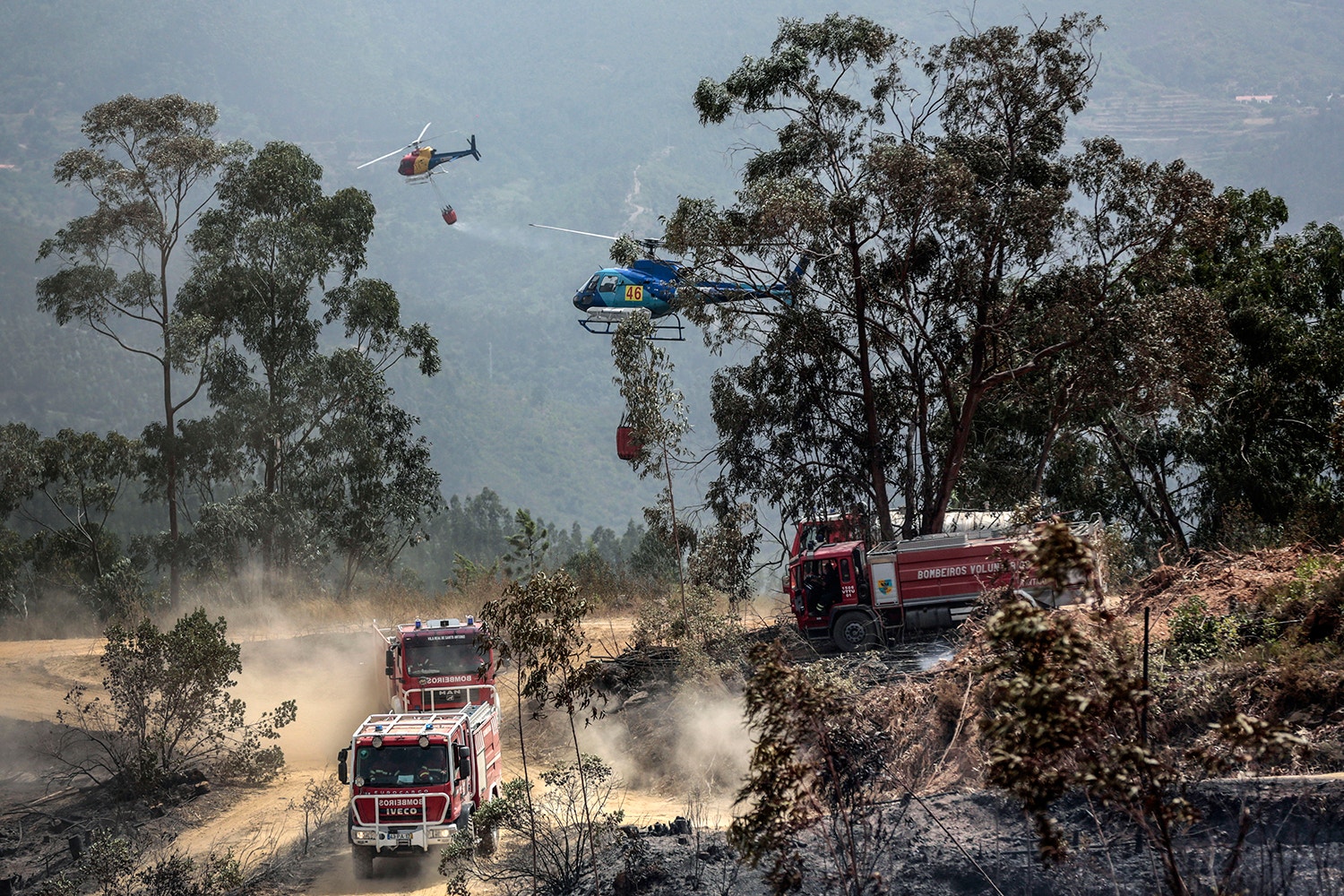  Filipe Farinha - Lusa 