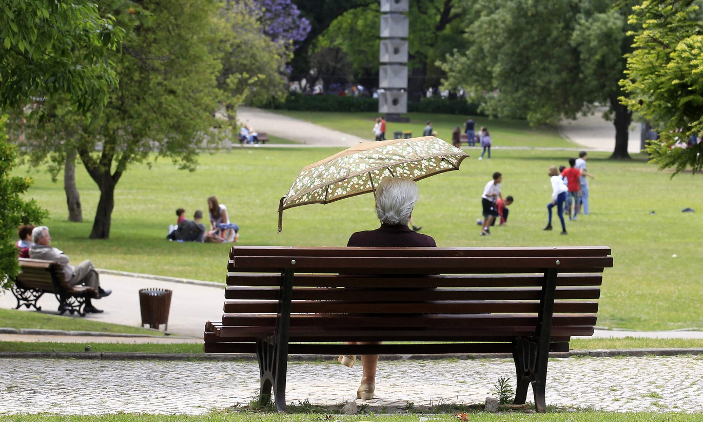 Half of elderly pensioners will receive a pension below 462 euros in 2024, says Bank of Portugal