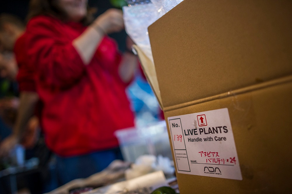  Pedro A. Pina / Ocean&aacute;rio  