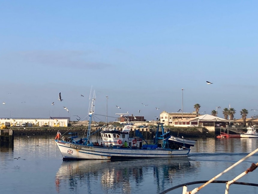 Imagem relacionada com a notícia: Ministros da UE chegaram ao acordo possível sobre pesca nas águas comunitárias do Atlântico e do Mediterrâneo
