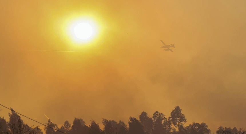 Incêndio no concelho de Tábua mobiliza mais de 200 operacionais