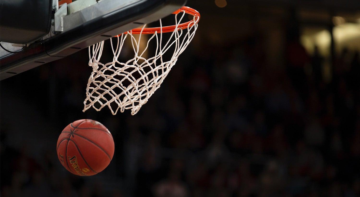 FC Porto na final da Liga de basquetebol