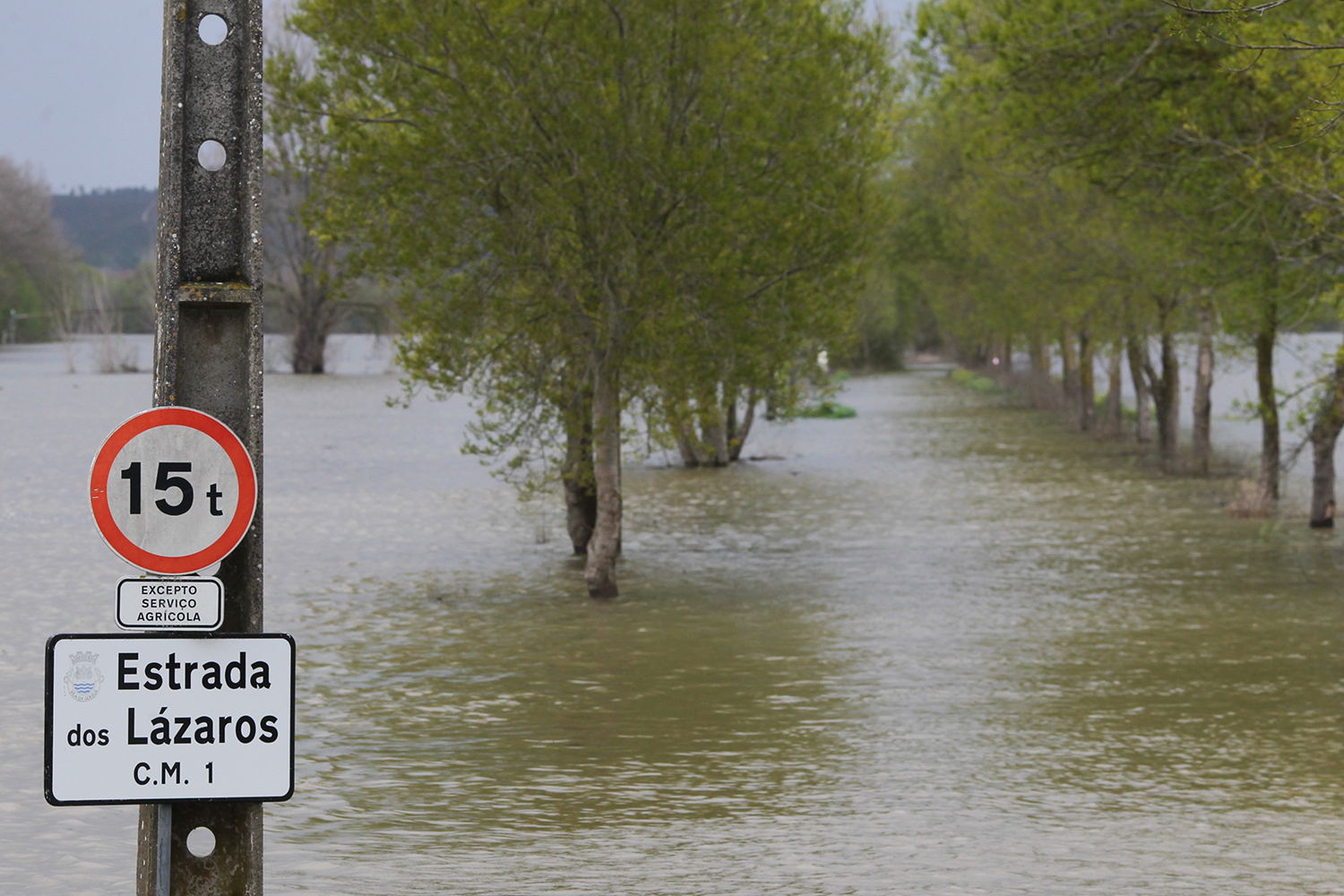 Cr&eacute;dito: Paulo Cunha - Lusa 