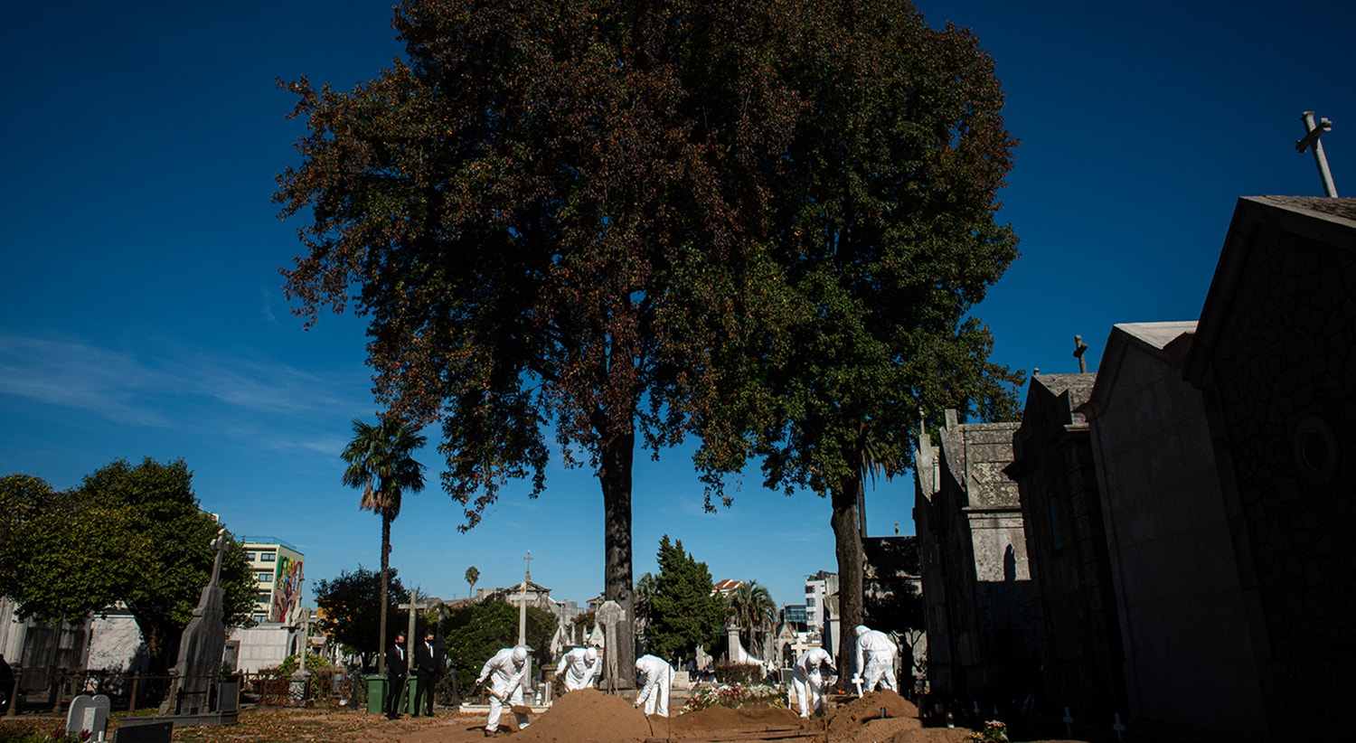  Foto: David Ara&uacute;jo - RTP  