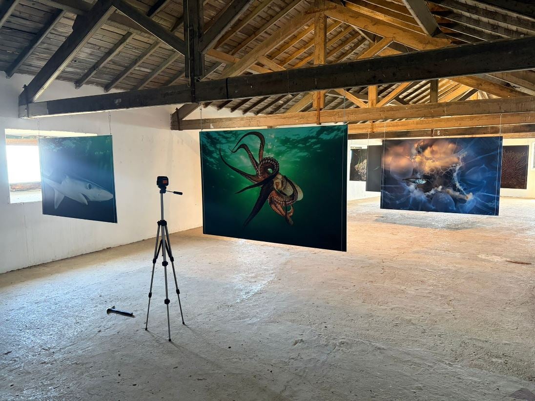 Mar Motto, a sensibilização ambiental através da arte