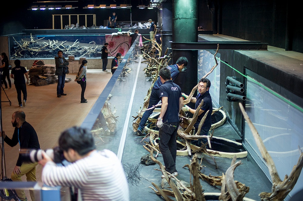  Pedro A. Pina / Ocean&aacute;rio  