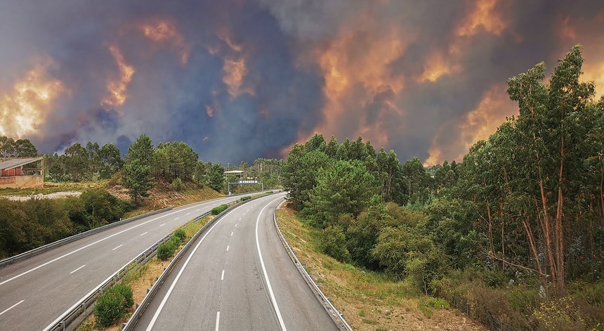 Imagem de Fogo obriga ao corte da A1 nos dois sentidos na zona de Aveiro