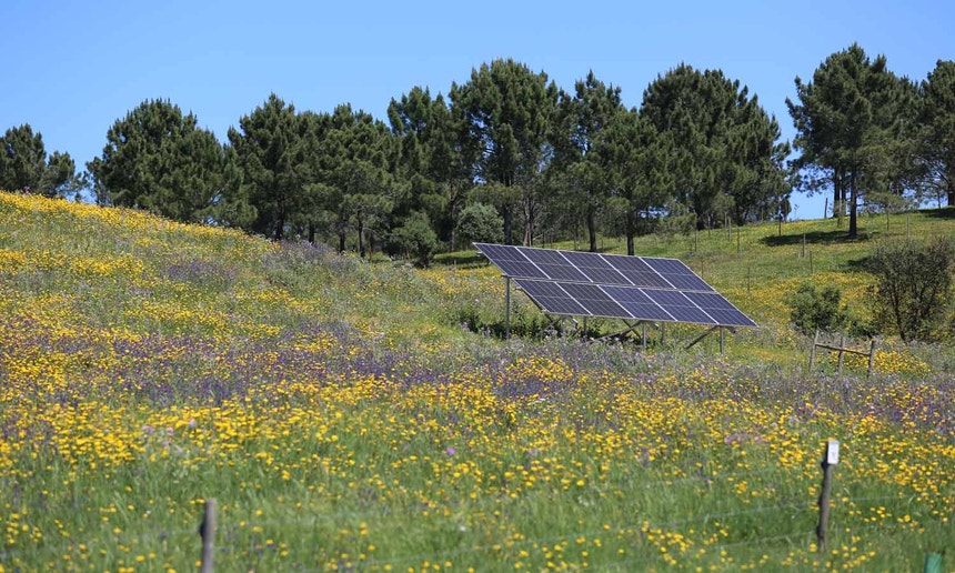 Imagem ilustrativa: Governo vai lançar novo apoio à aquisição de painéis solares para famílias