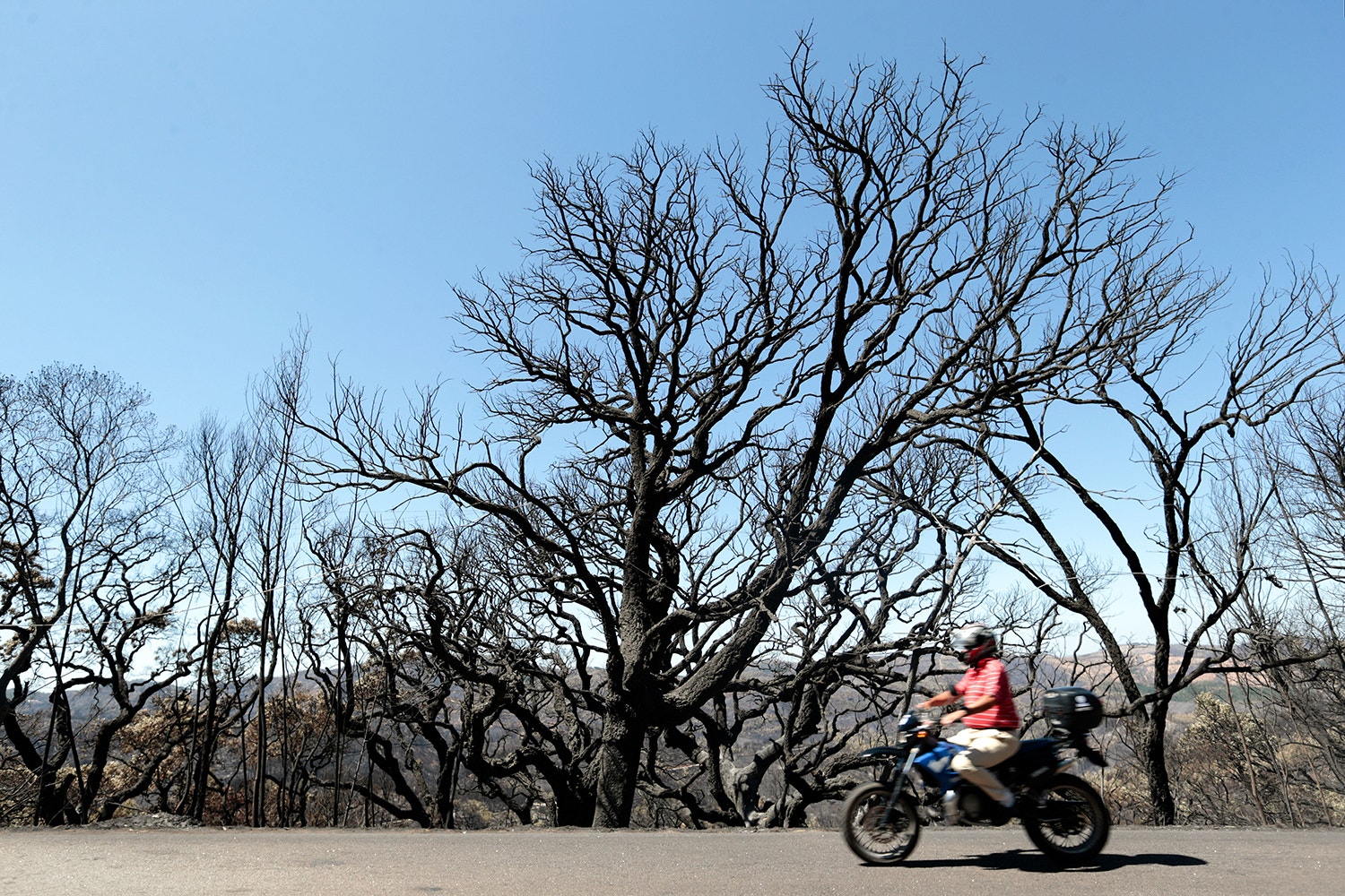  F&oacute;ia, Monchique /Filipe Farinha - Lusa 