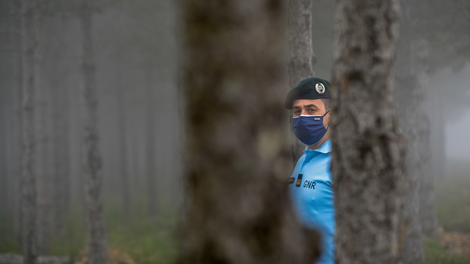  Foto: David Ara&uacute;jo - RTP 