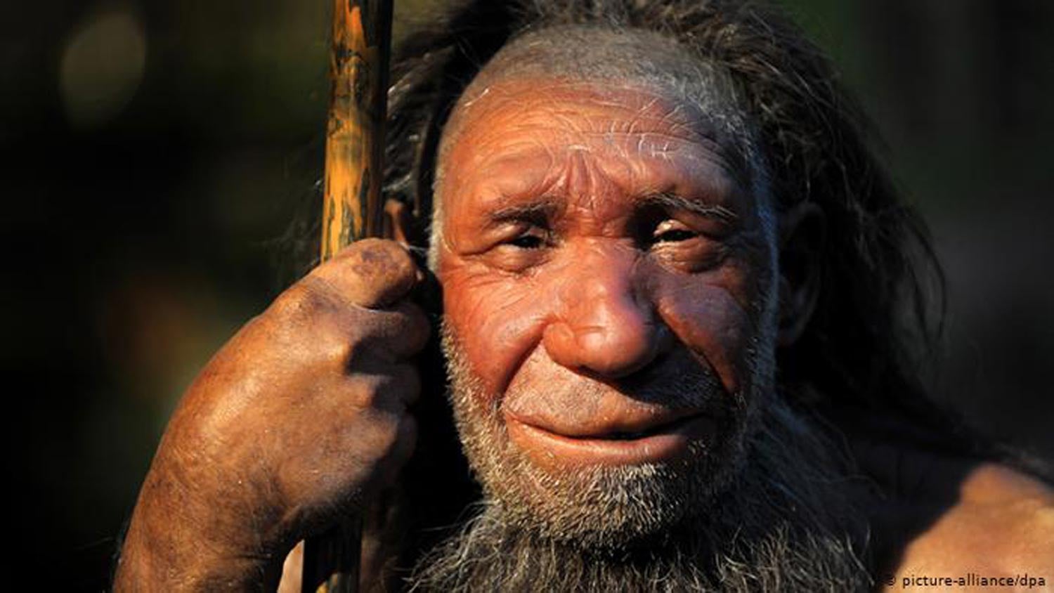 Confirmado. Homem De Neandertal Desapareceu Afinal Há Mais De 40 Mil Anos