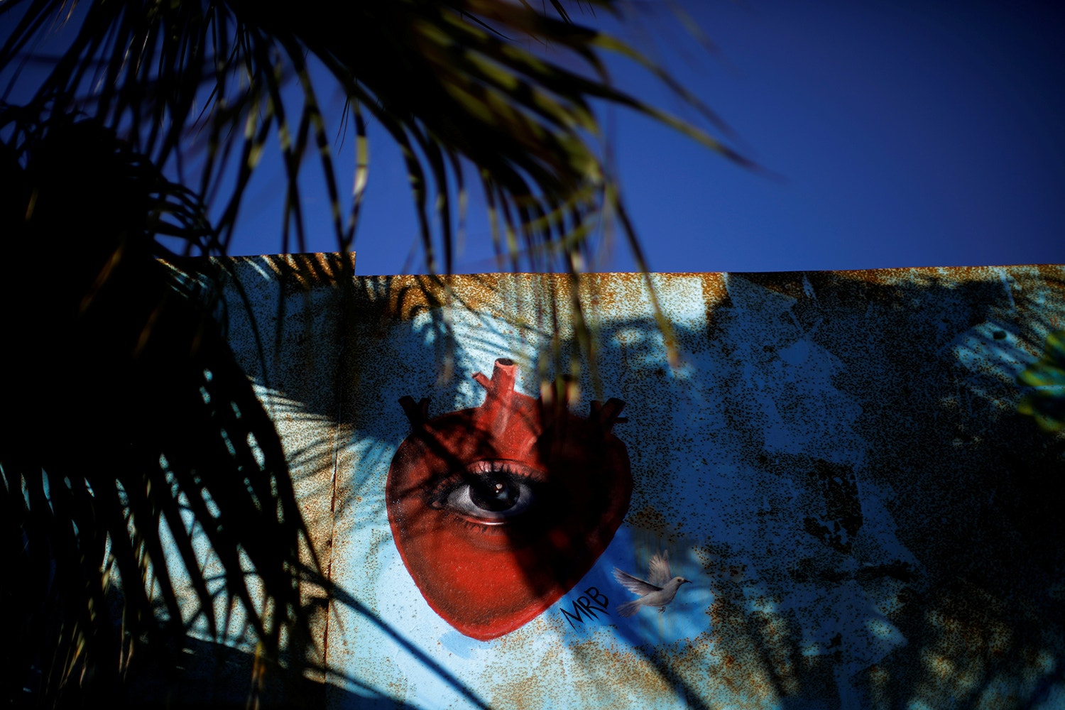  Carlos Barria - Reuters 