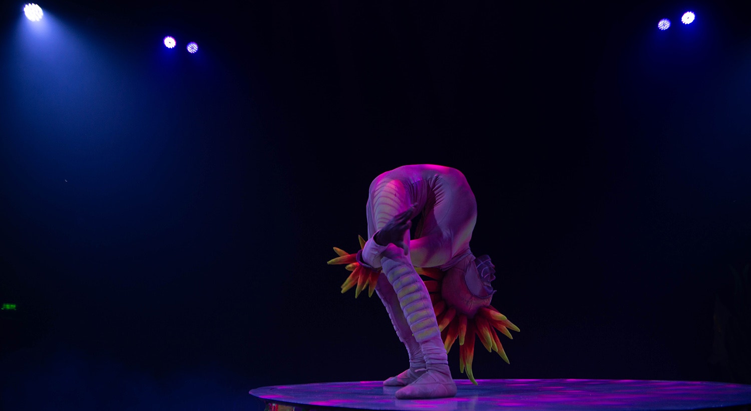  Foto: David Ara&uacute;jo - RTP 