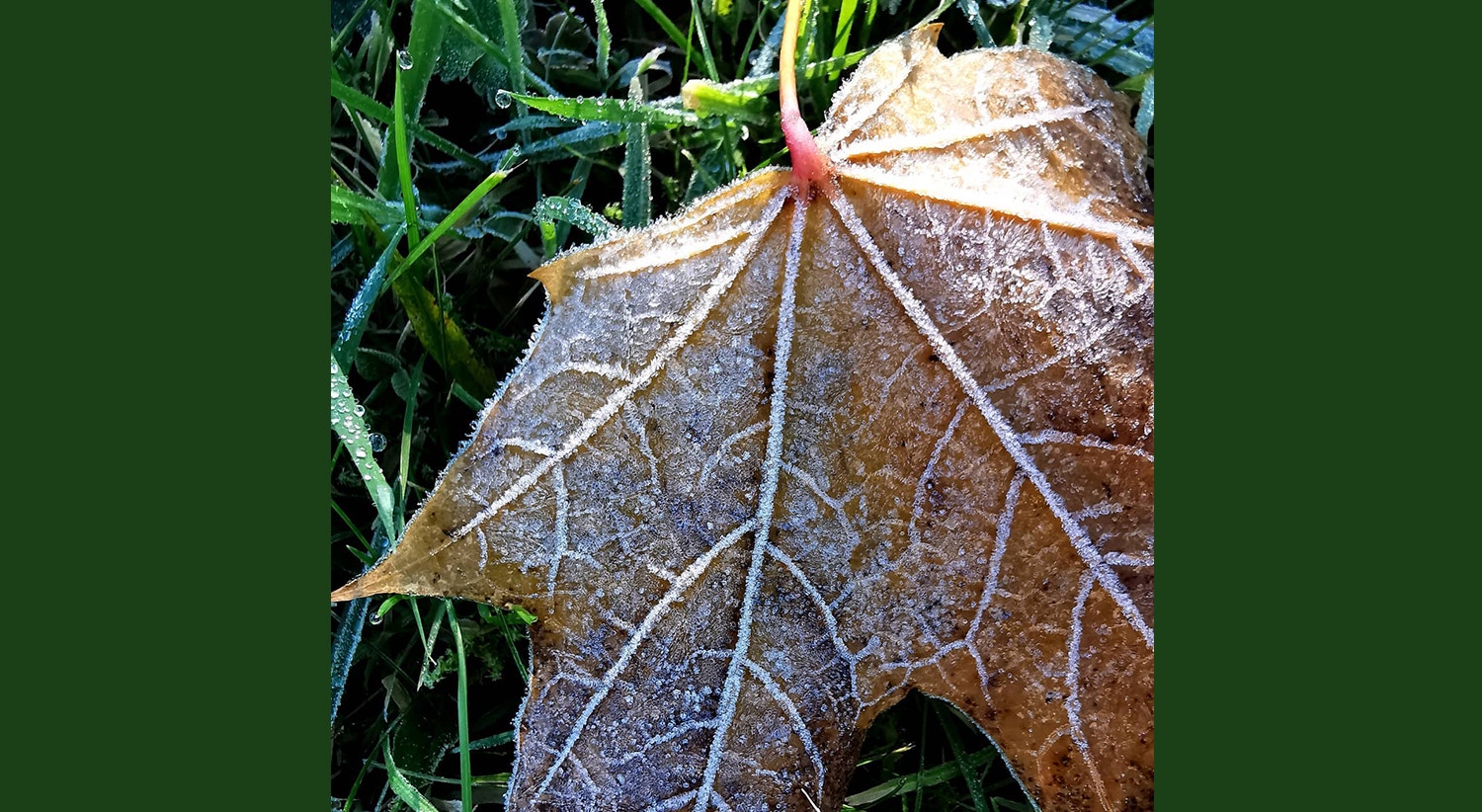  Glasgow, Reino Unido | Tiago Passos - RTP 