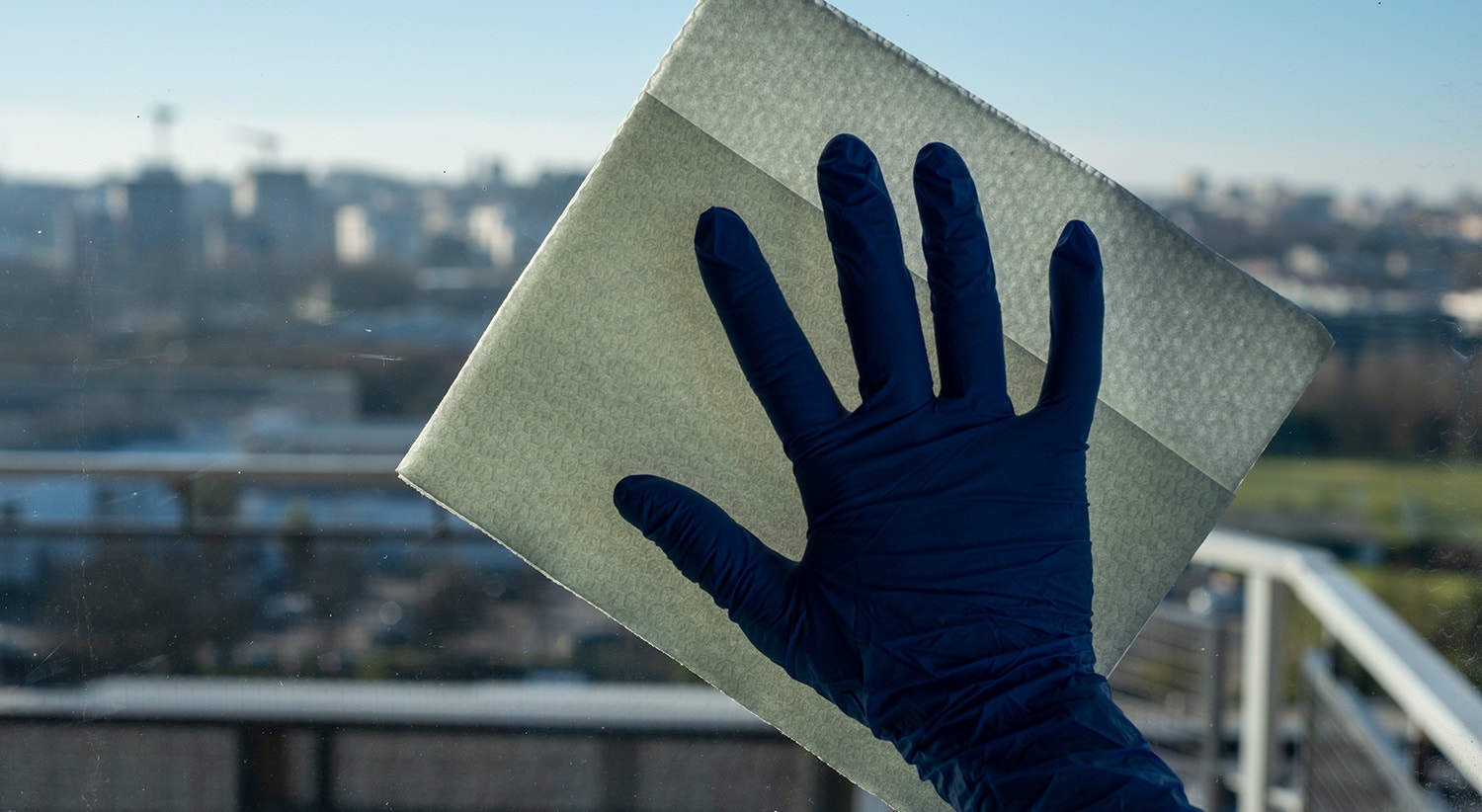  Foto de David Ara&uacute;jo 