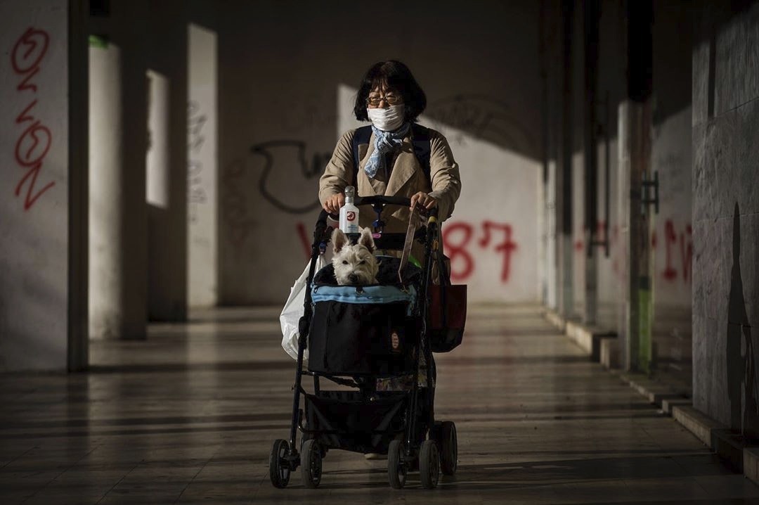  Cr&eacute;ditos fotogr&aacute;ficos: Nuno Fox/DR 