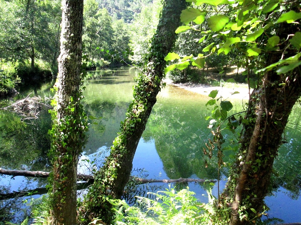  Enviada por Isabel Rute 