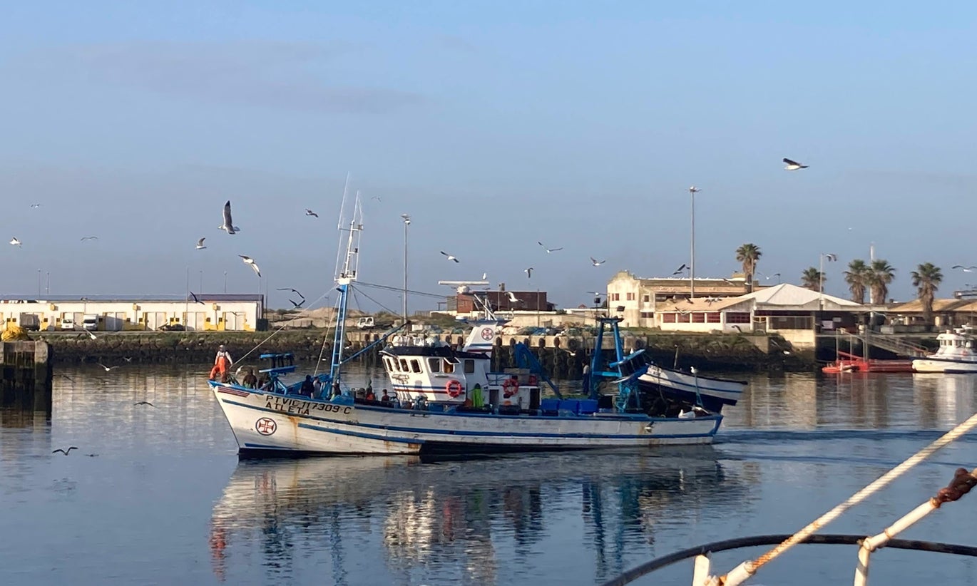 Governo pagou 319.000 euros ao setor das pescas