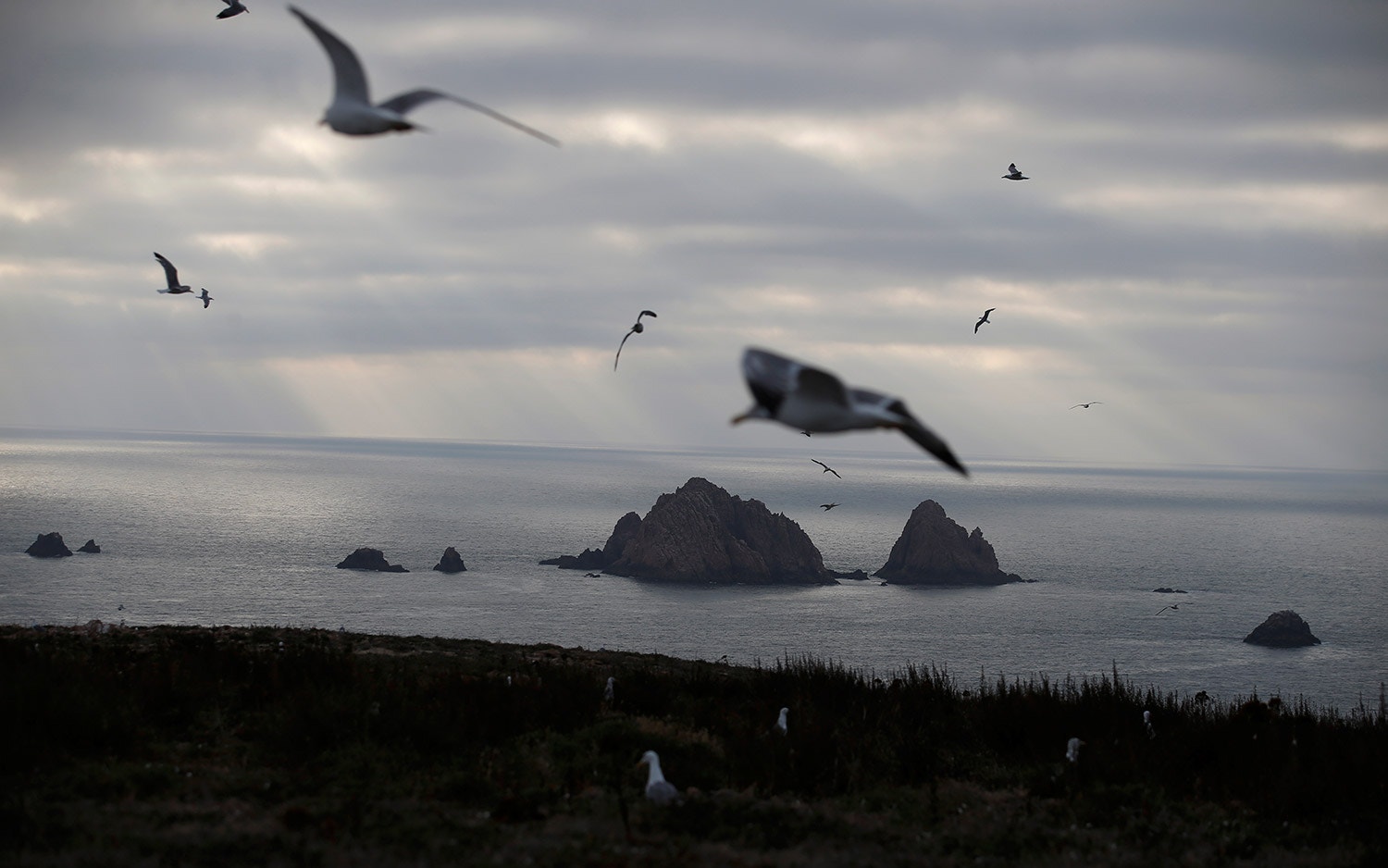  Foto: Rafael Marchante - Reuters 