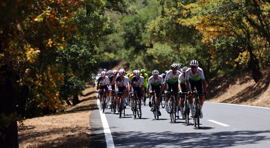 Imagem de Federação Portuguesa de Ciclismo organiza Volta a Portugal em 2026