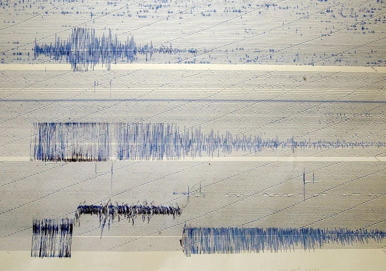 O sismo não terá sido sentido pela esmagadora maioria das pessoas
