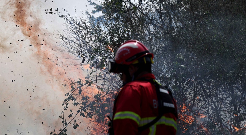Imagem de Incêndios em Portugal. A situação ao minuto