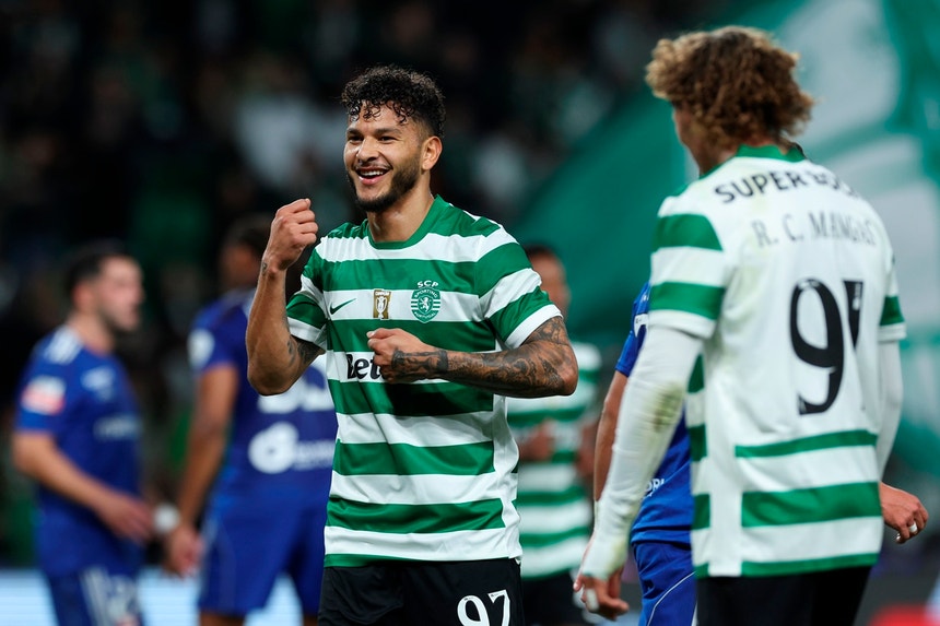 Imagem de Sporting CP - AVS