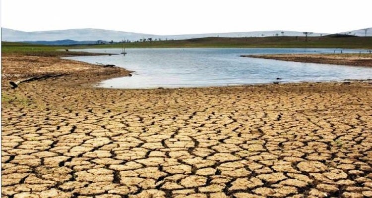 Portugal. Estado est� a falhar no combate � desertifica��o