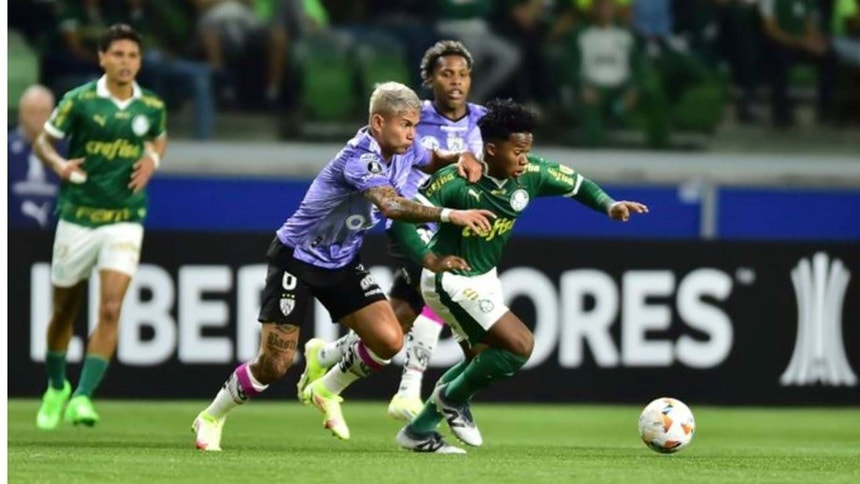 O Palmeiras soma e segue na Libertadores
