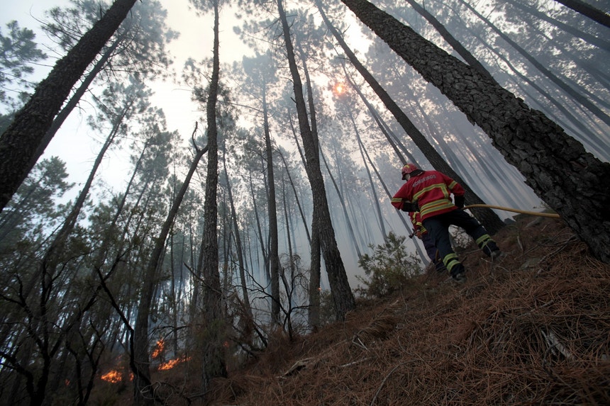 Vinte E Quatro Concelhos De Cinco Distritos Em Perigo Máximo De Incêndio 0094