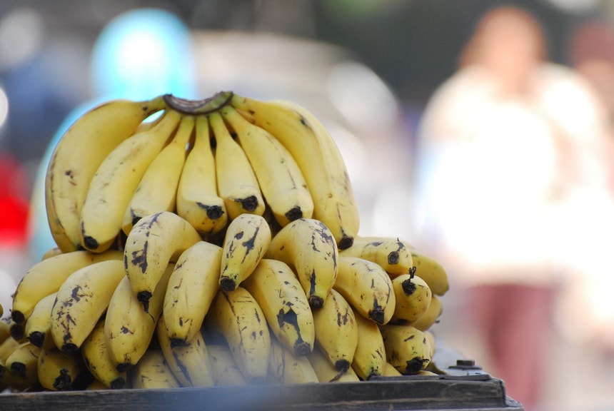 Madeira. Produtores de banana e cana-de-açucar queixam-se dos preços pagos por quilo