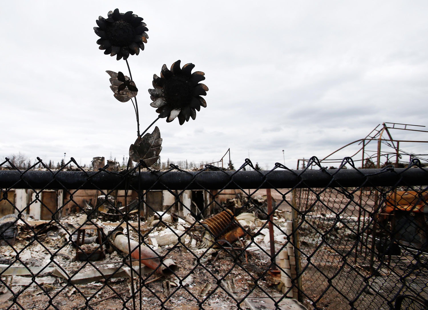  Chris Wattie - Reuters 