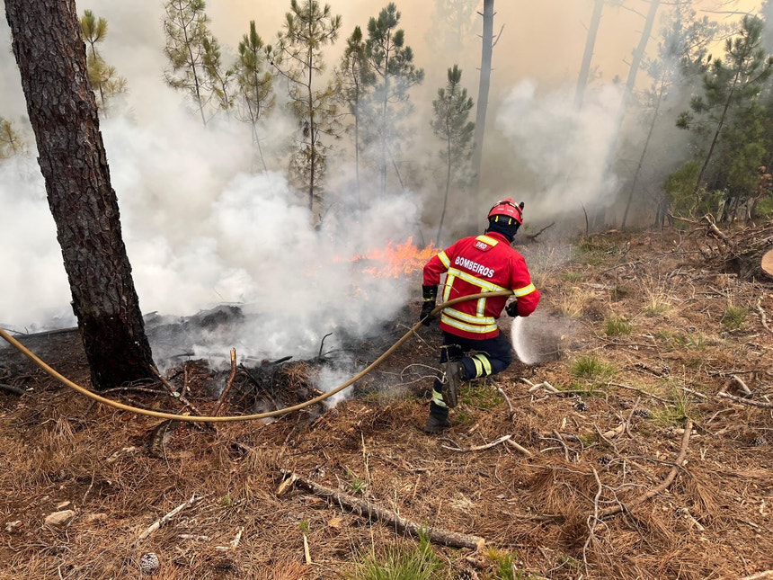 Imagem de Semana de calor começa com oito concelhos em perigo máximo de incêndio