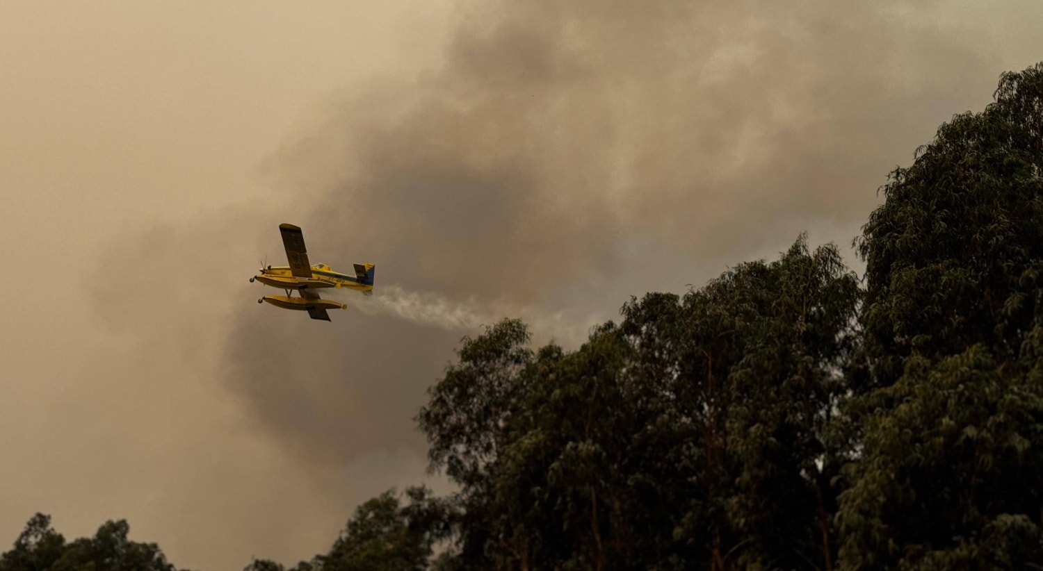  Avi&atilde;o &ldquo;Fireboss&rdquo; faz descargas em Gondomar. Portugal contou com o apoio de meios a&eacute;reos vindos de Espanha, Fran&ccedil;a e It&aacute;lia. / Foto: Jos&eacute; Pinto Dias - RTP 