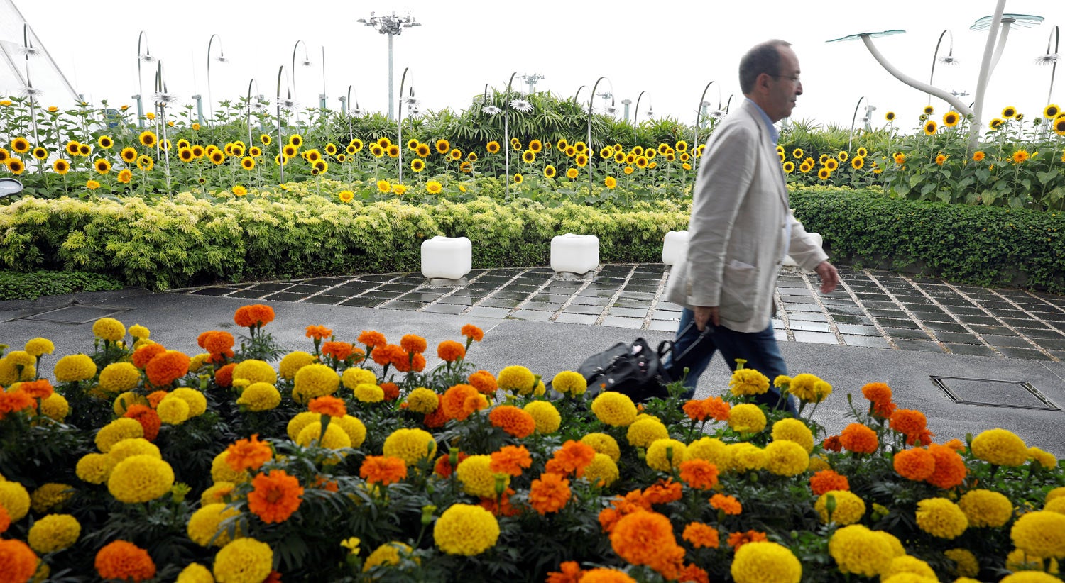 Aeroporto de Singapura. Homem com bilhete detido por n�o ter inten��es de embarcar