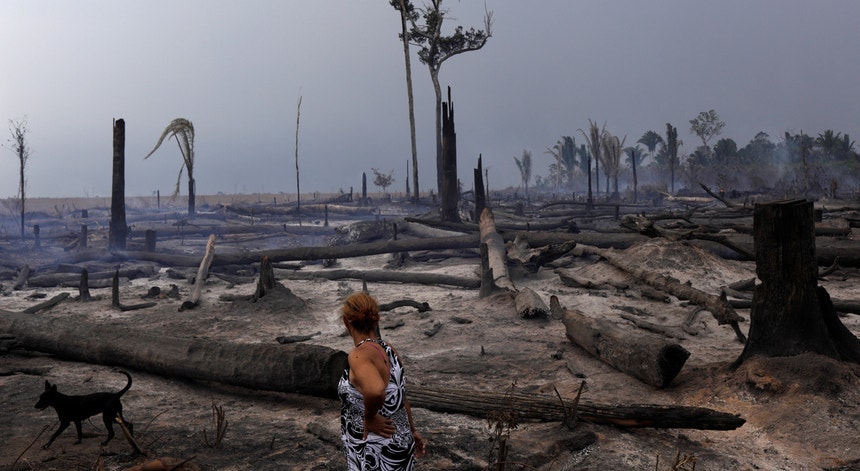 A situação na Amazónia é crítica e os governantes brasileiros insistem em não se entenderem
