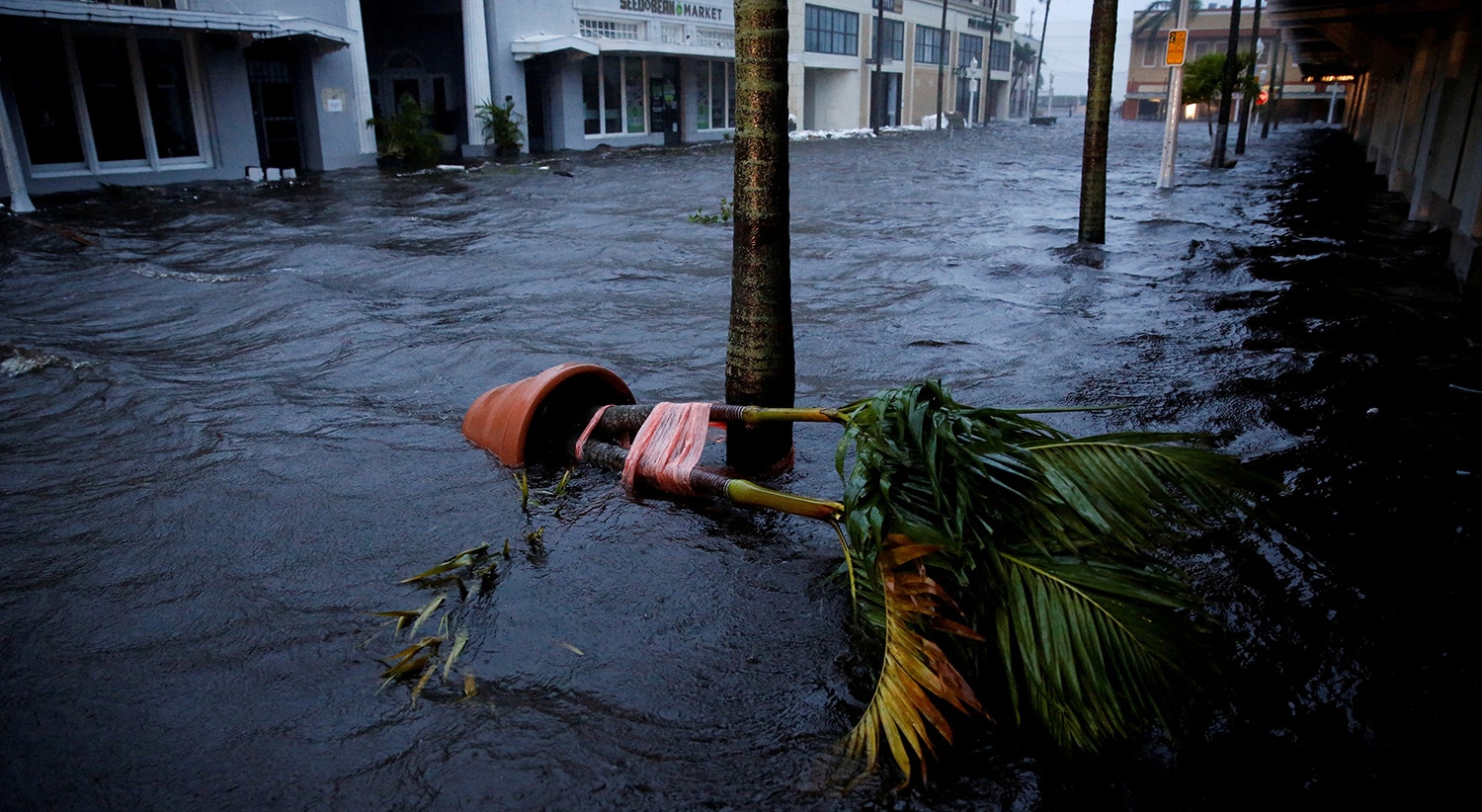  Marco Bello - Reuters 