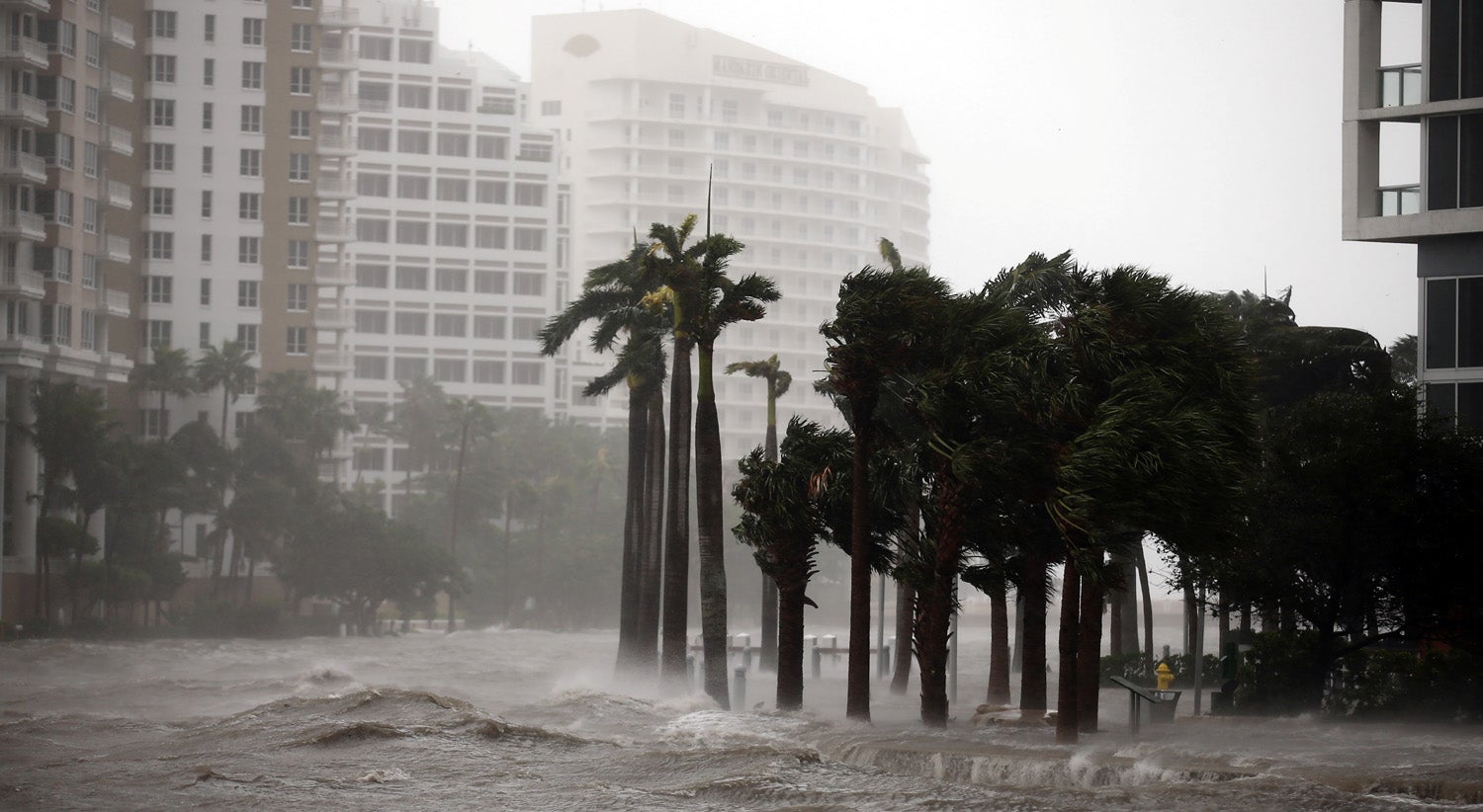 Foto: Carlos Barria - Reuters