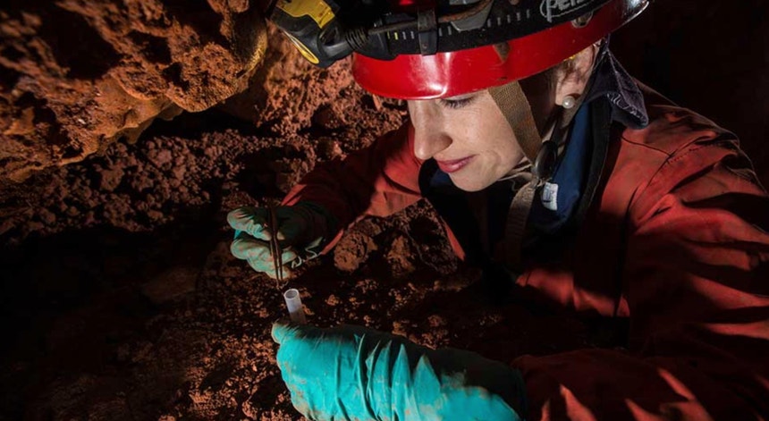 Ana Sofia Reboleira liderou uma equipa que estudou bactérias em risco em grutas na Noruega
