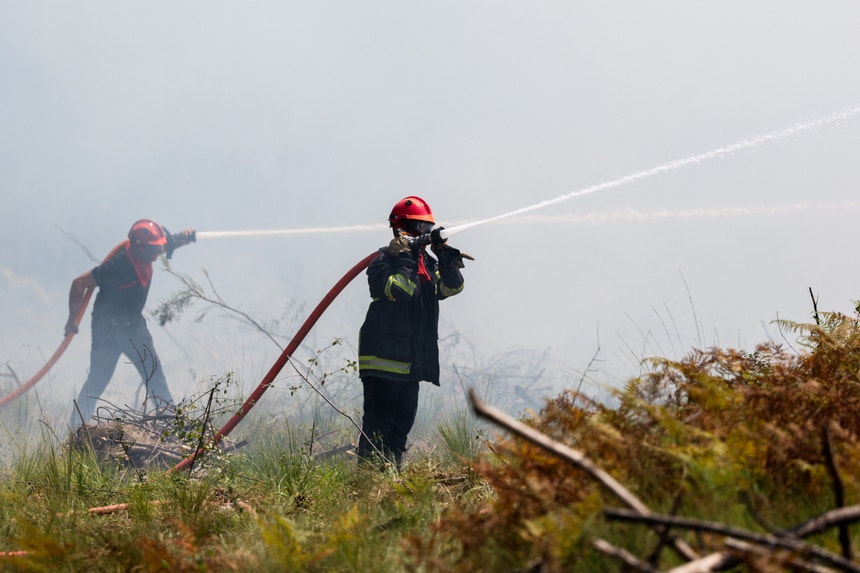 Imagem de Incêndios em França. Subida das temperaturas e vento ainda preocupam