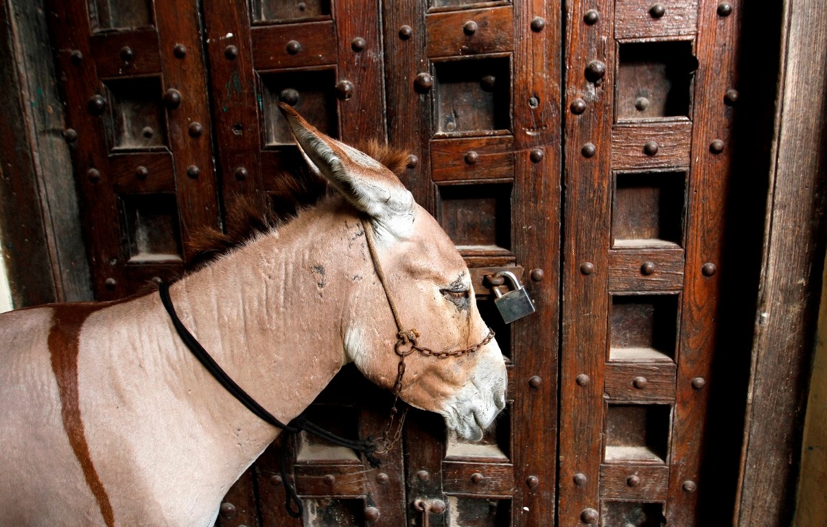 Qu&eacute;nia, Lamu, tradicionais portas de madeira esculpidas | Thomas Mukoya - Reuters  