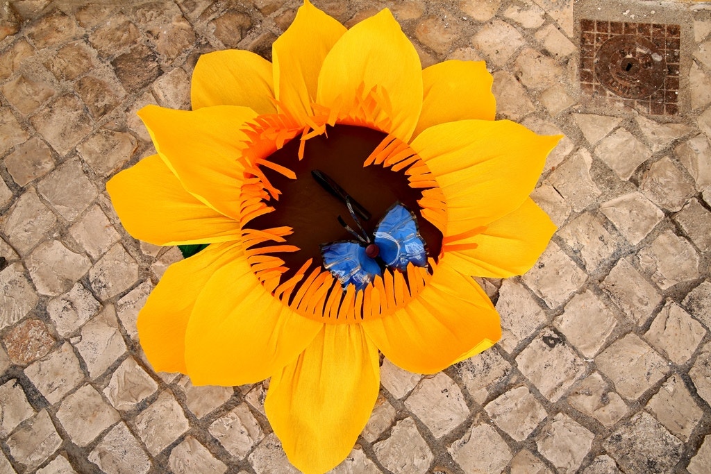  Nuno Patr&iacute;cio - RTP 