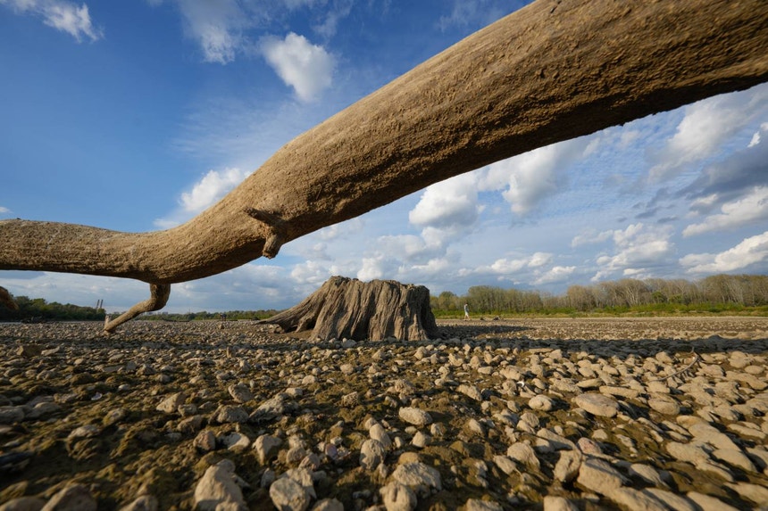 Imagem de Crise climática leva a colapso? 