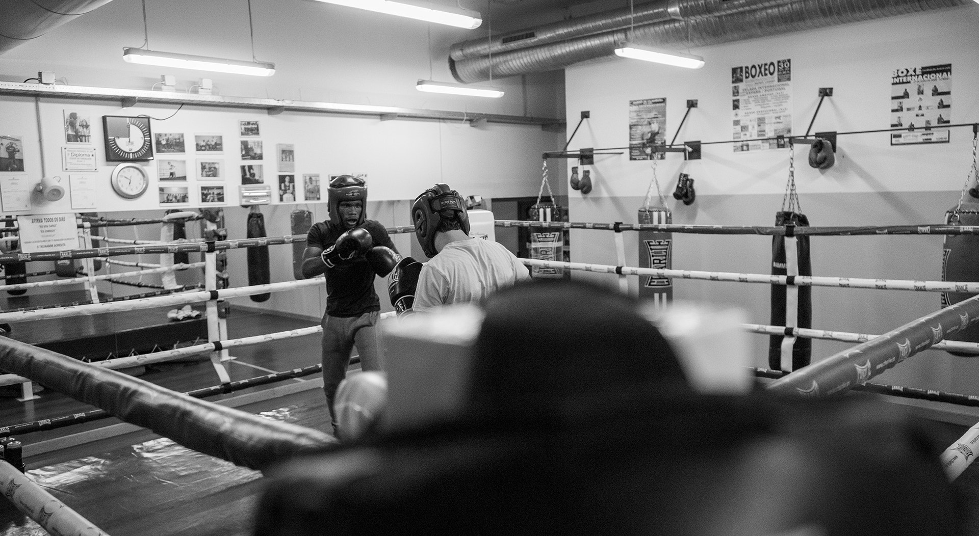  Foto: Rodrigo Lobo - RTP 