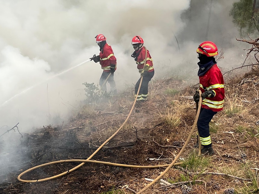 Imagem de Dois fogos em Proença-a-Nova mobilizam mais de 800 bombeiros