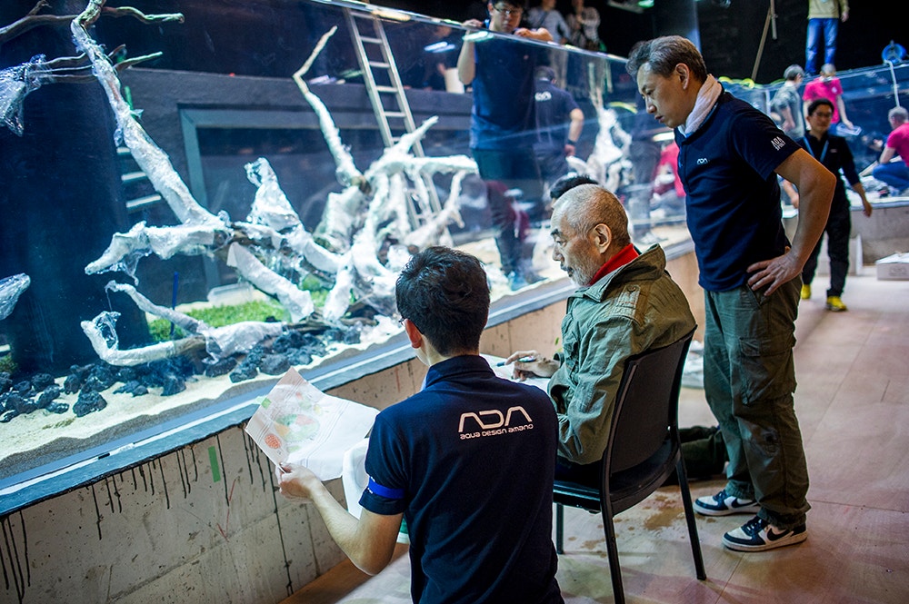  Pedro A. Pina / Ocean&aacute;rio  