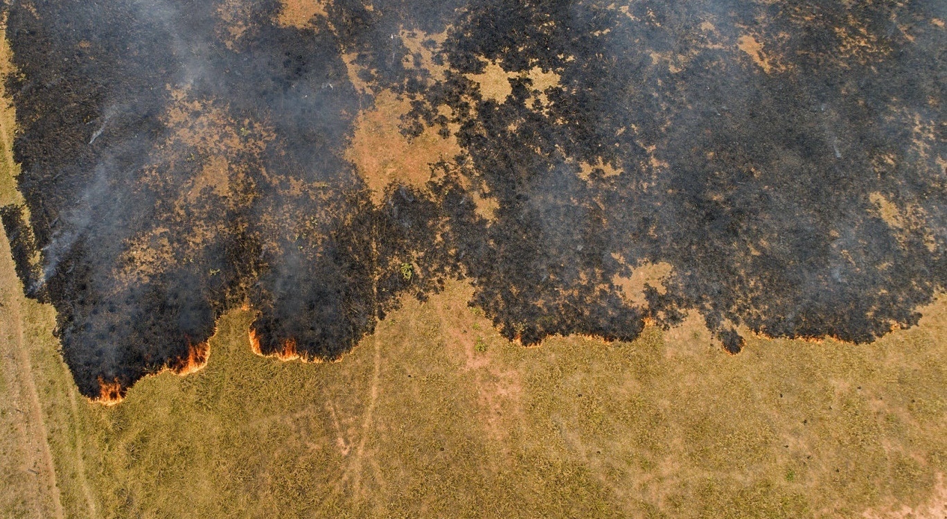  Brasil, Mato Grosso. Inc&ecirc;ndio no Pantanal | Rogerio Florentino - EPA  
