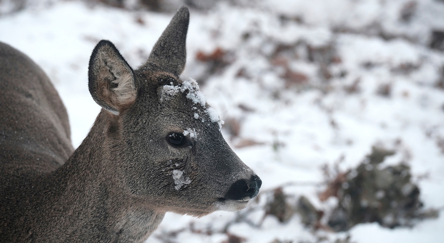  Liepupe, Let&oacute;nia | Foto: Valda Kalnina &ndash; EPA 