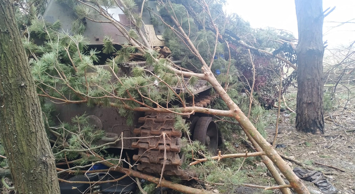  Foto: Ant&oacute;nio Mateus - RTP 