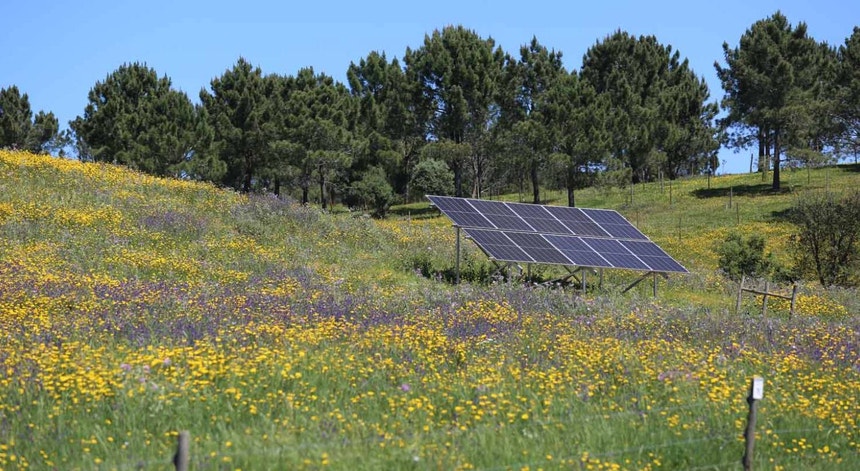 Energia solar foi a principal fonte de produção de eletricidade pela primeira vez